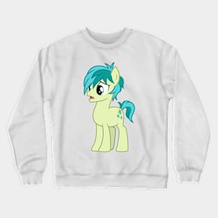 Sandbar talking to the crowd 2 Crewneck Sweatshirt